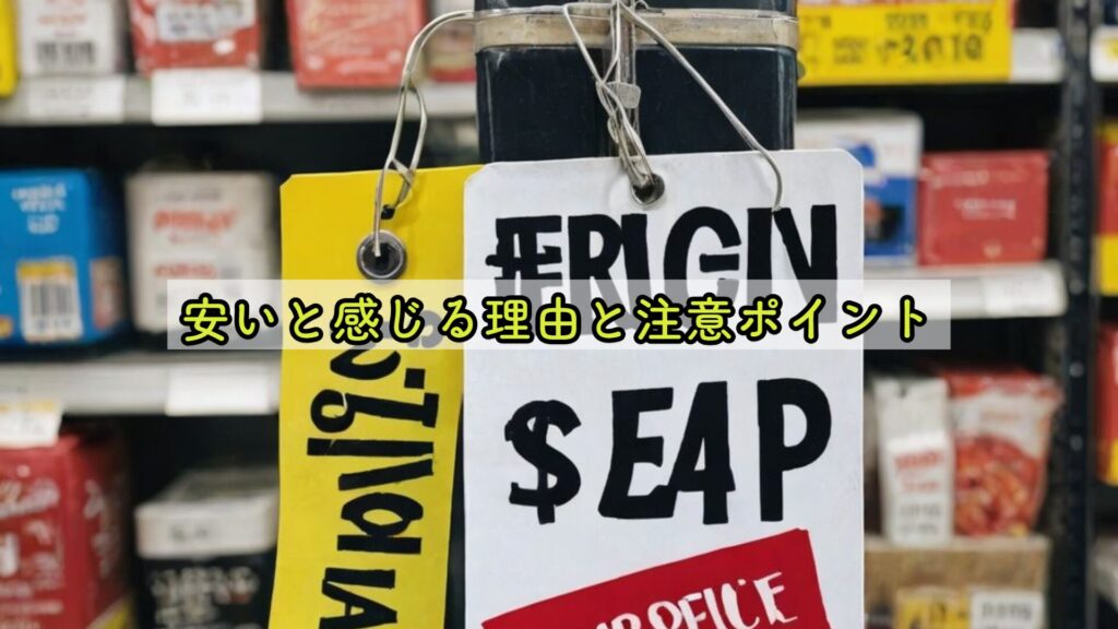安いと感じる理由と注意ポイント
