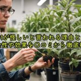 hb101が怪しいと言われる理由とは？安全性や効果を口コミから徹底検証