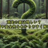 測定の森は怪しい？評判や安全性をわかりやすく解説！