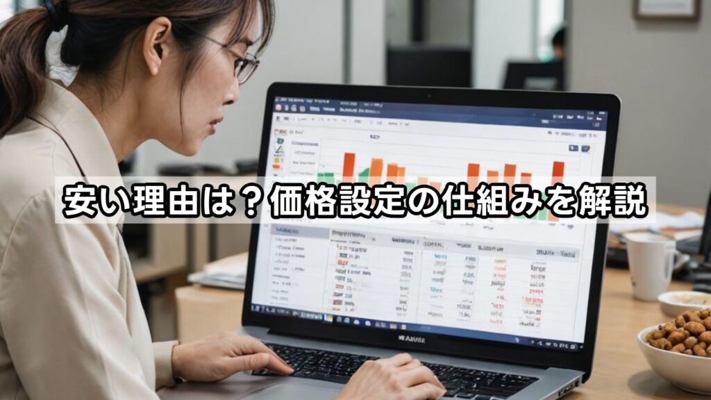 安い理由は？価格設定の仕組みを解説